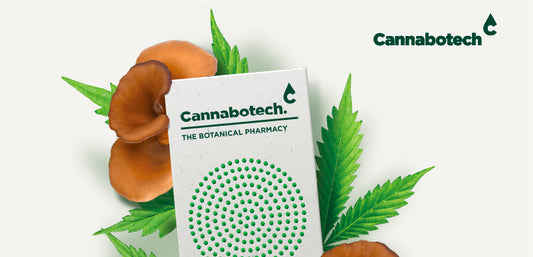 Mushroom Complex Benefits | Adaptogens UK