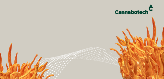 Best Mushrooms for Immune System