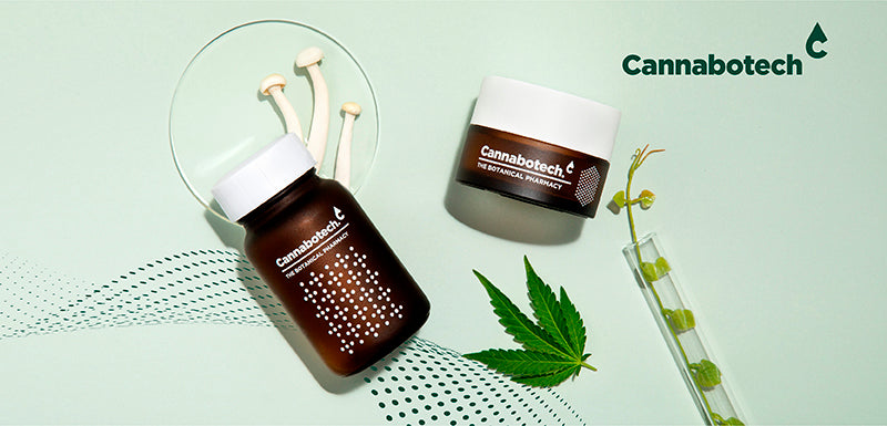 Premium CBD Oil & Adapotogenic Mushrooms