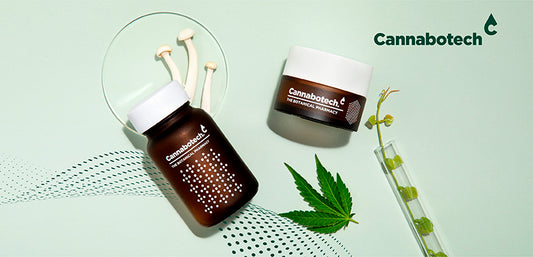 Premium CBD Oil & Adapotogenic Mushrooms