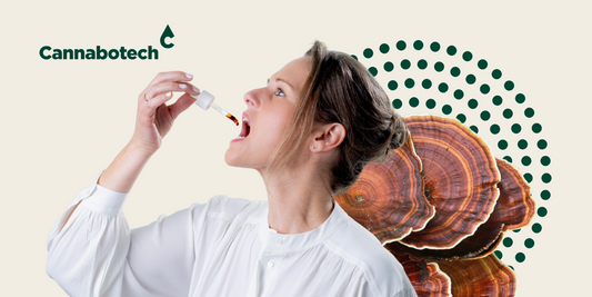Mushrooms and CBD for Immunity: Explained