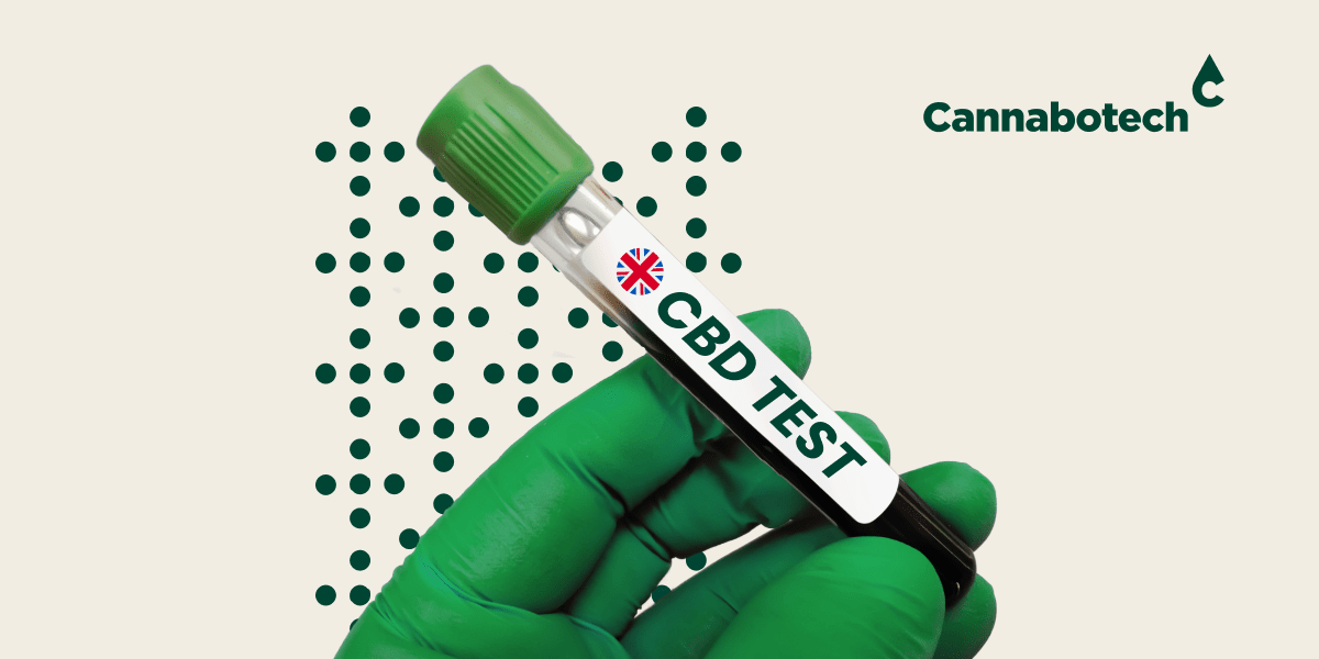 Does Cbd Oil Show Up On Drug Tests Uk