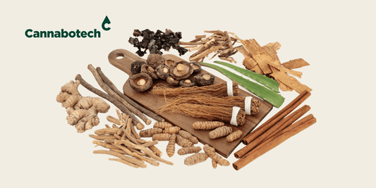 Adaptogenic Mushrooms