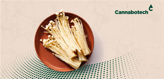 Enokitake Mushroom Benefits UK